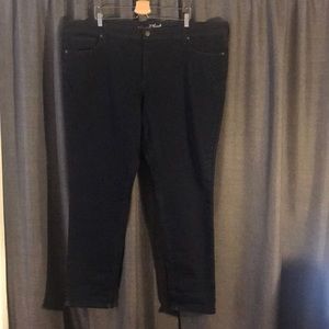 NWOT UNIVERSAL THREAD PLUS SIZE 26W SKINNY JEANS